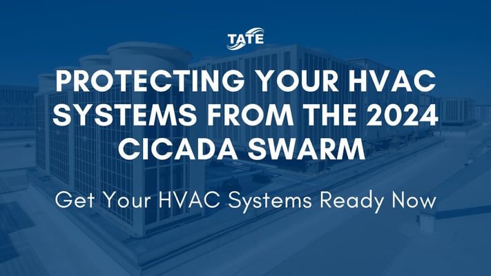 Protecting Your HVAC Systems from the 2024 Cicada Swarm-blog